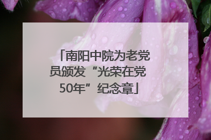 南阳中院为老党员颁发“光荣在党50年”纪念章