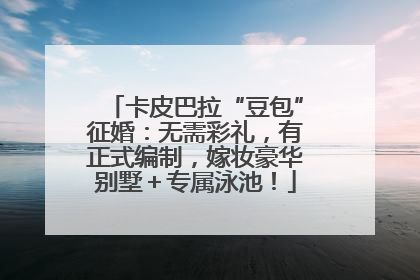 卡皮巴拉“豆包”征婚：无需彩礼，有正式编制，嫁妆豪华别墅＋专属泳池！