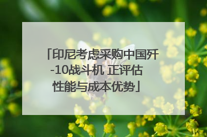 印尼考虑采购中国歼-10战斗机 正评估性能与成本优势