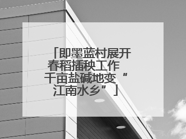 即墨蓝村展开春稻插秧工作 千亩盐碱地变“江南水乡”