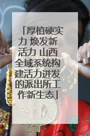 厚植硬实力 焕发新活力 山西全域系统构建活力迸发的派出所工作新生态