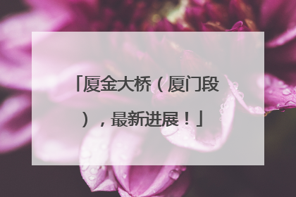 厦金大桥（厦门段），最新进展！
