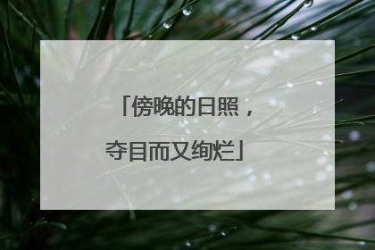 傍晚的日照，夺目而又绚烂