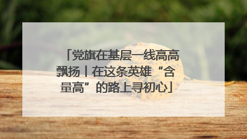 党旗在基层一线高高飘扬丨在这条英雄“含量高”的路上寻初心