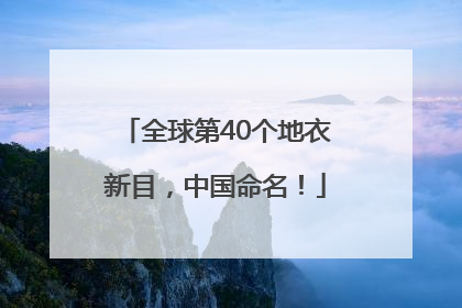 全球第40个地衣新目，中国命名！