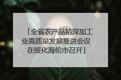 全省农产品精深加工业高质量发展推进会议在绥化海伦市召开