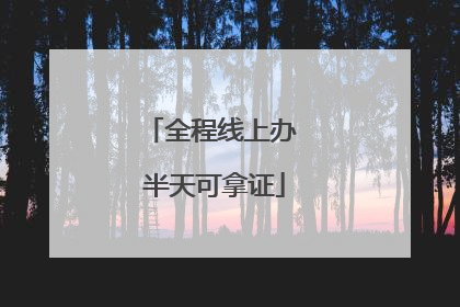 全程线上办 半天可拿证