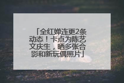 全红婵连更2条动态！卡点为陈艺文庆生，晒多张合影和新玩偶照片