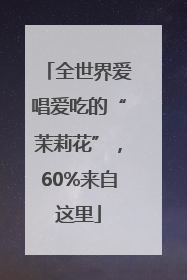 全世界爱唱爱吃的“茉莉花”，60%来自这里