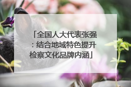 全国人大代表张强：结合地域特色提升检察文化品牌内涵