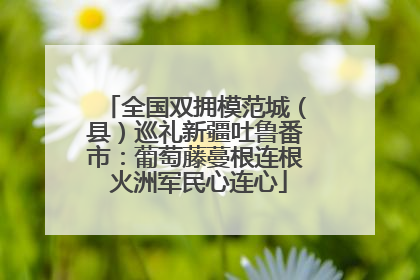 全国双拥模范城（县）巡礼新疆吐鲁番市：葡萄藤蔓根连根 火洲军民心连心