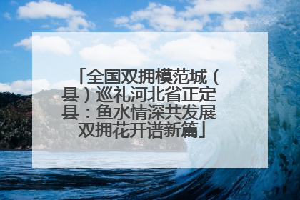 全国双拥模范城（县）巡礼河北省正定县：鱼水情深共发展 双拥花开谱新篇