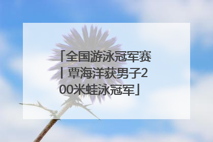 全国游泳冠军赛丨覃海洋获男子200米蛙泳冠军