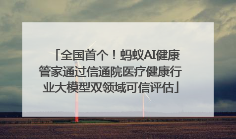 全国首个！蚂蚁AI健康管家通过信通院医疗健康行业大模型双领域可信评估