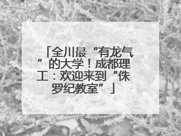 全川最“有龙气”的大学！成都理工：欢迎来到“侏罗纪教室”