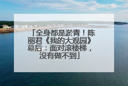 全身都是淤青!陈丽君《我的大观园》幕后:面对滚楼梯,没有做不到