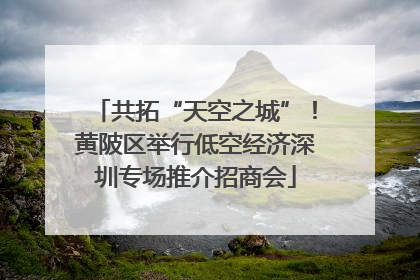 共拓“天空之城”！黄陂区举行低空经济深圳专场推介招商会