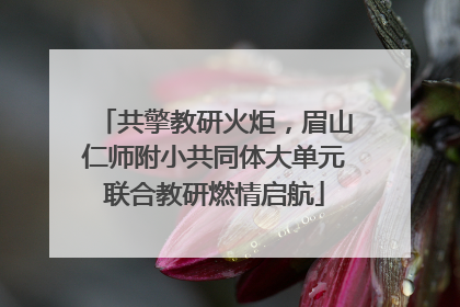 共擎教研火炬，眉山仁师附小共同体大单元联合教研燃情启航