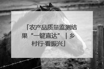 农产品质量监测结果“一键直达”｜乡村行·看振兴