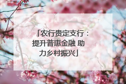 农行贵定支行：提升普惠金融 助力乡村振兴