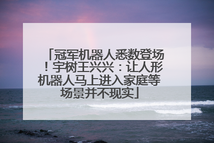冠军机器人悉数登场！宇树王兴兴：让人形机器人马上进入家庭等场景并不现实