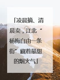凌晨摘、清晨卖，江北“杨梅自由一条街”藏着最甜的烟火气