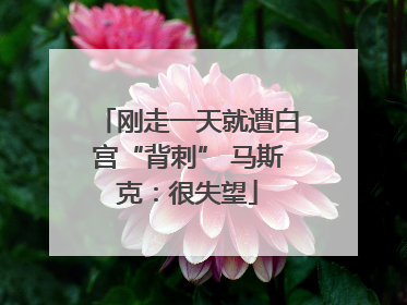 刚走一天就遭白宫“背刺” 马斯克：很失望