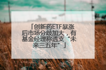 创新药ETF暴涨后市场分歧加大，有基金经理称透支“未来三五年”