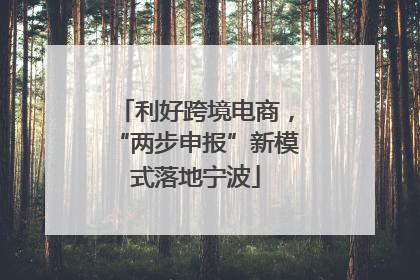 利好跨境电商，“两步申报”新模式落地宁波