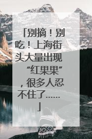 别摘！别吃！上海街头大量出现“红果果”，很多人忍不住了……