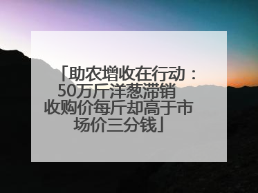 助农增收在行动：50万斤洋葱滞销 收购价每斤却高于市场价三分钱