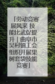 劳动竞赛展风采 技能比武促提升｜曲阜市吴村镇工会组织开展果树套袋技能竞赛
