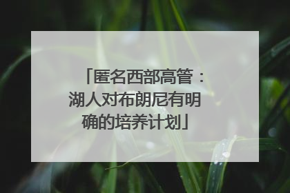 匿名西部高管：湖人对布朗尼有明确的培养计划