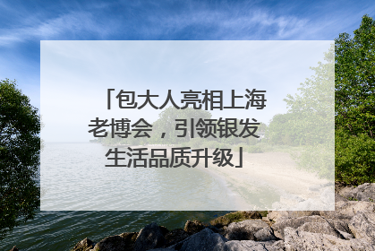 包大人亮相上海老博会，引领银发生活品质升级