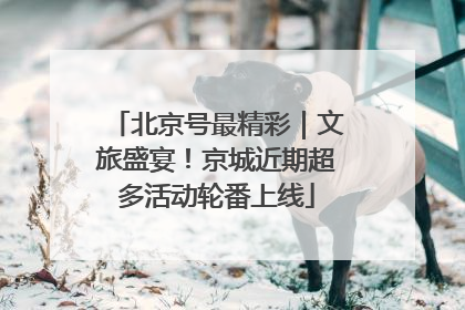 北京号最精彩｜文旅盛宴！京城近期超多活动轮番上线