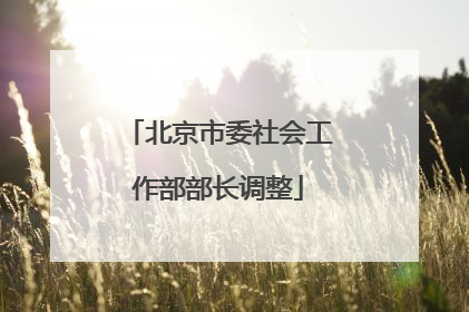 北京市委社会工作部部长调整