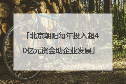 北京朝阳每年投入超40亿元资金助企业发展