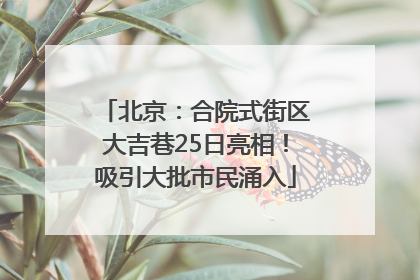 北京：合院式街区大吉巷25日亮相！吸引大批市民涌入