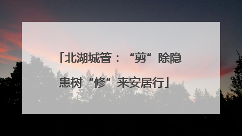 北湖城管：“剪”除隐患树“修”来安居行