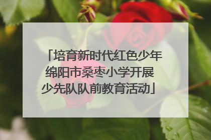 培育新时代红色少年 绵阳市桑枣小学开展少先队队前教育活动