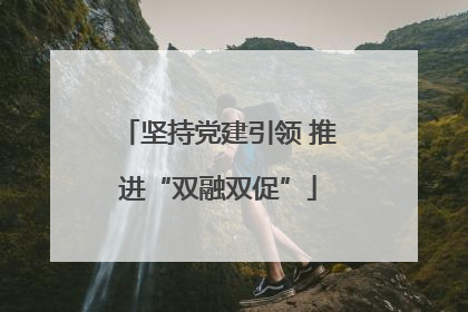 坚持党建引领 推进“双融双促”