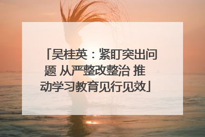 吴桂英：紧盯突出问题 从严整改整治 推动学习教育见行见效