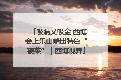 吸睛又吸金 西博会上乐山端出特色“硬菜”｜西博视界