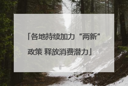 各地持续加力“两新”政策 释放消费潜力