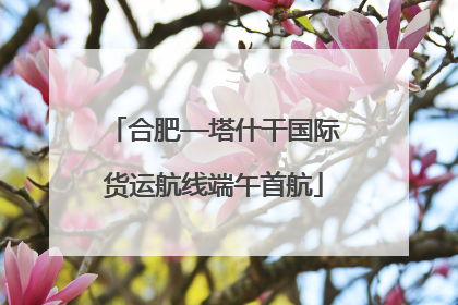 合肥—塔什干国际货运航线端午首航