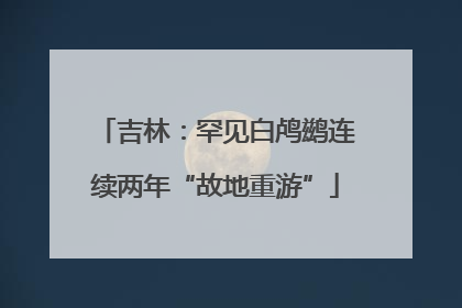 吉林：罕见白鸬鹚连续两年“故地重游”