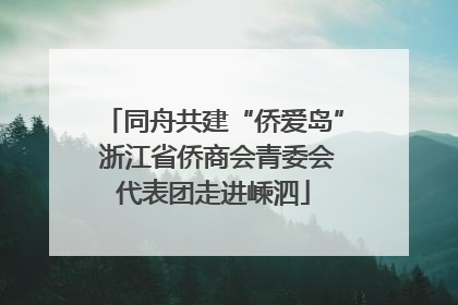 同舟共建“侨爱岛” 浙江省侨商会青委会代表团走进嵊泗