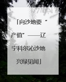 向沙地要“产值”——辽宁科尔沁沙地兴绿见闻