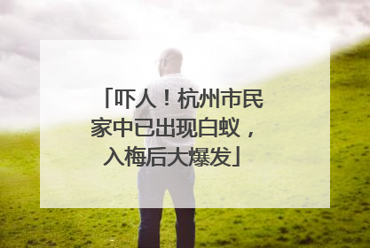 吓人！杭州市民家中已出现白蚁，入梅后大爆发
