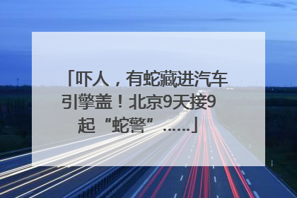 吓人，有蛇藏进汽车引擎盖！北京9天接9起“蛇警”……